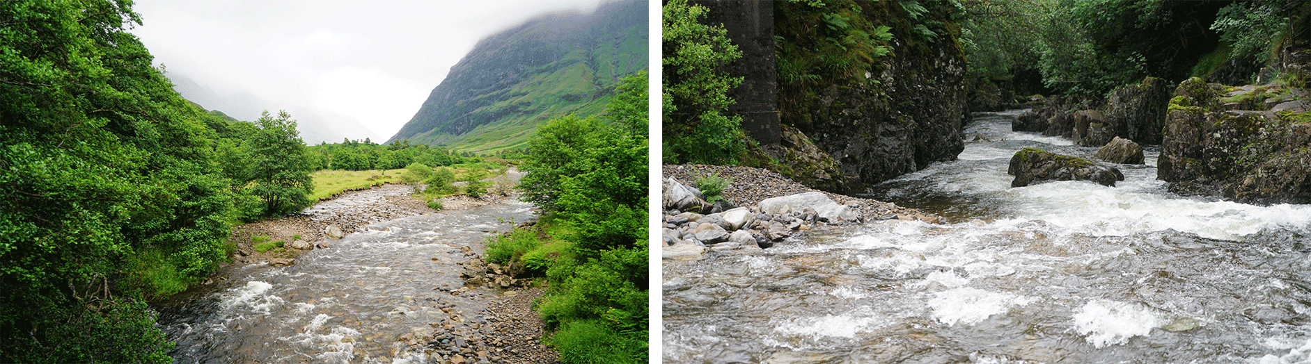 glencoe-66psd