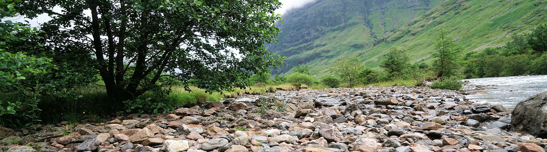 glencoe-67psd