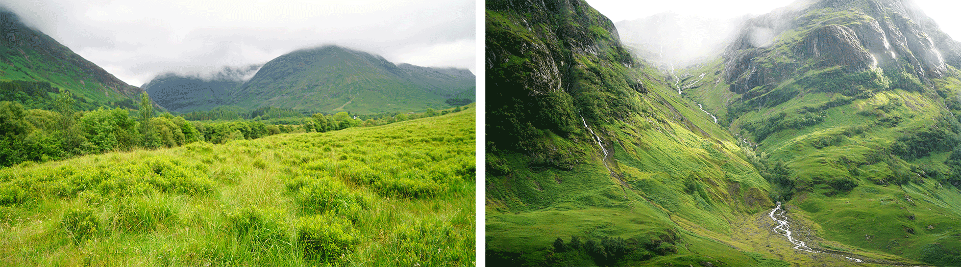 glencoe-68