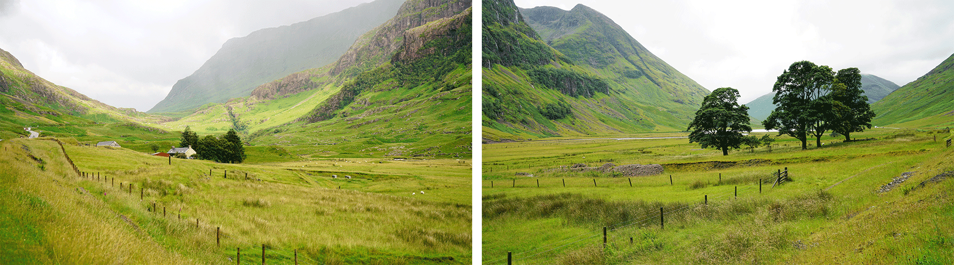 glencoe-69