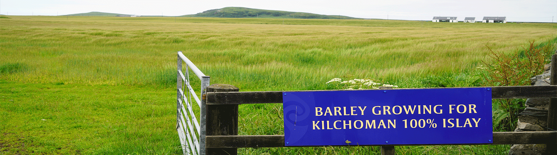 kilchoman7