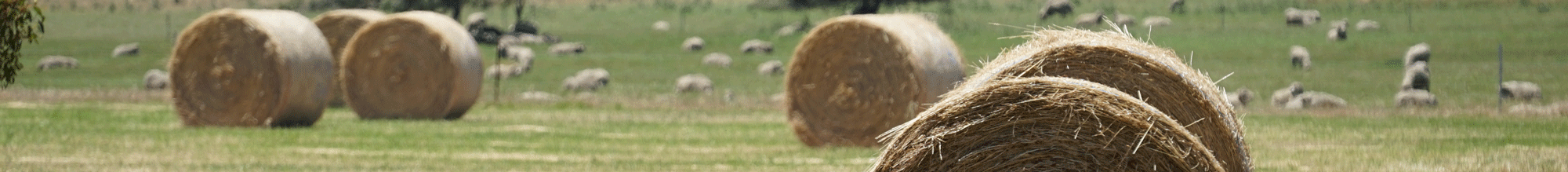 hay-bales