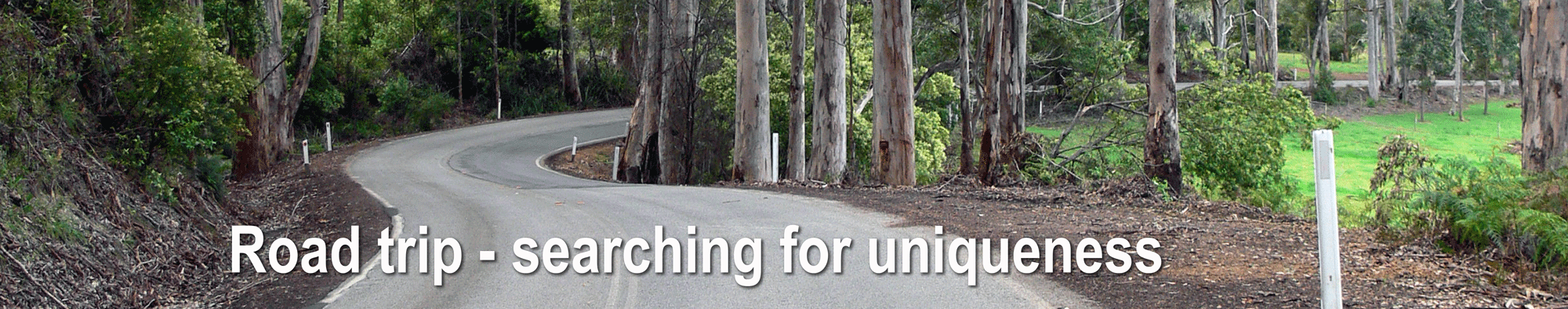road-trip-searching-for-uniqueness