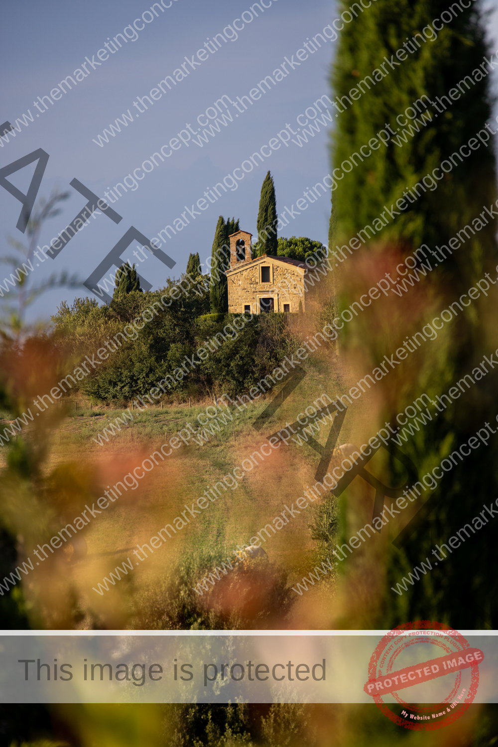 Montalcino-19